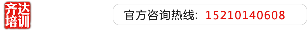 啊啊啊啊啊啊操我日本齐达艺考文化课-艺术生文化课,艺术类文化课,艺考生文化课logo